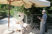 Sculture_Cavino_ 2009 (51)
